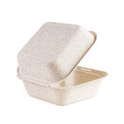 Container 6x6 Mineral Hinged 250ct