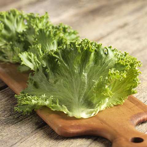 Lettuce Better Burger Leaf 2/5LB