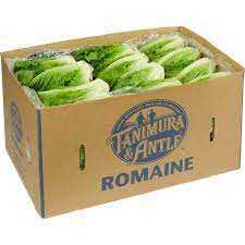 Romaine 24ct