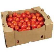 Tomato Plum Red 25LB