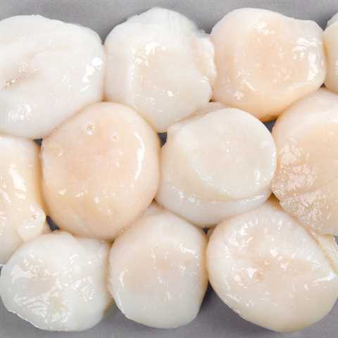 Fresh Scallops