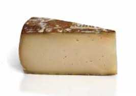 Fontina Cheese