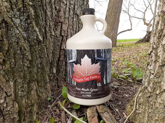 Syrup Maple Pure Jug 1 Gallon