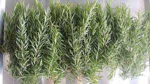Fresh Rosemary 8oz