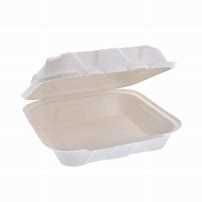 Container Fiber Compostable 8x8 Hinged 200ct