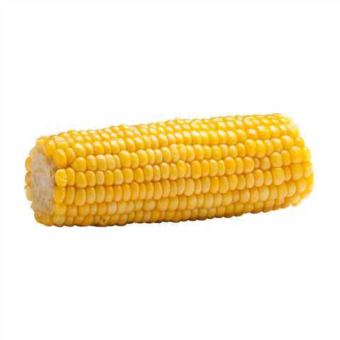 Fresh Corn on the Cob