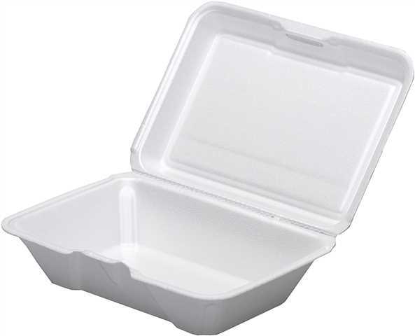 Foam Hinged Container 6x9x3  200ct