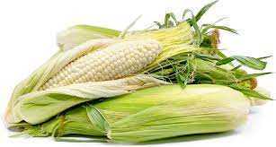White Corn Fresh