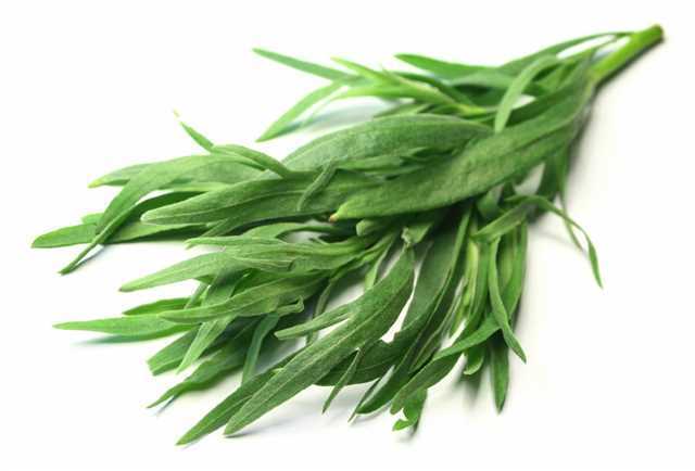 Fresh Tarragon Bunch's