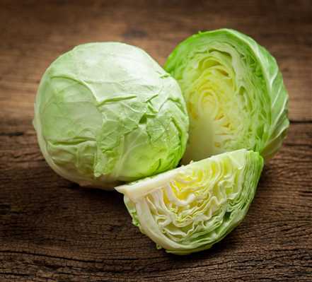 Fresh Green Cabbage 3CT
