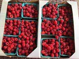 Raspberries Fresh 12/ 1/2PT