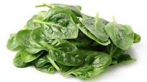 Fresh Spinach 1BAG