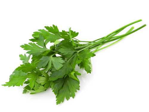 Flat Parsley Italian 60/Bunch