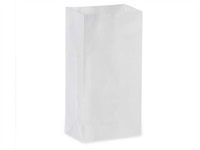 #20 White Paper Bag