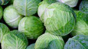Green Cabbage 1/50LB