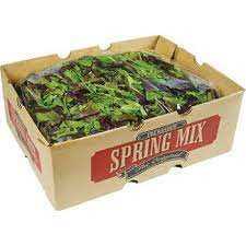 Spring Mix 1/3lb