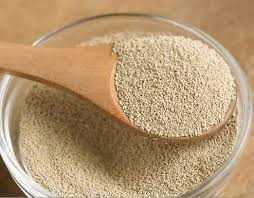 Dry Instant Yeast 20 #1