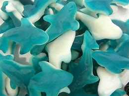 Albanese Blue Gummi Sharks 5lb