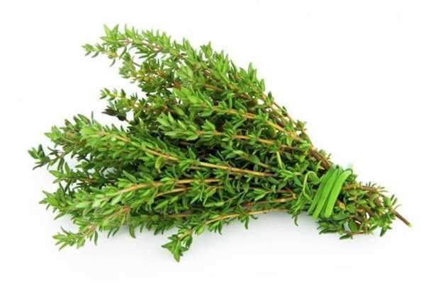 Thyme Fresh Kilo bunch