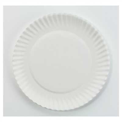 Paper Plate 6 Inch Uncoated 1000ct