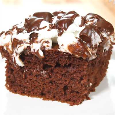 Cake Mississippi Mud 1/4.15lb