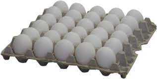 XL Loose Eggs 30 Dozen