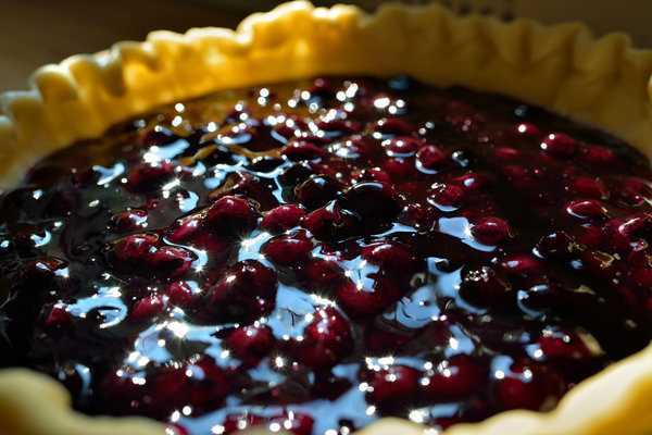 Blueberry Pie Filling #10