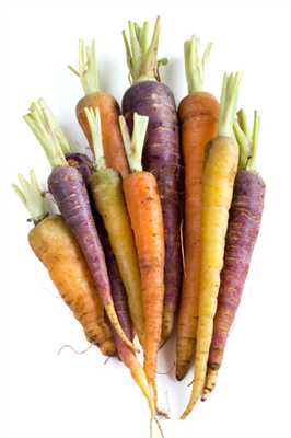 Carrots Tricolor Heirloom 5LB