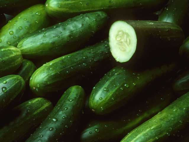 Cucumbers CASE
