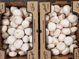 Mushrooms Medium 1/10lb