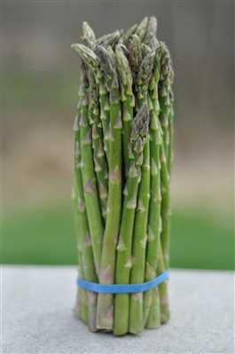 Fresh Asparagus 1 Bundle