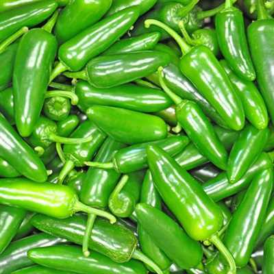 Pepper Fresh Jalapeno 30LB