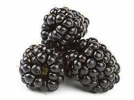 Fresh Blackberries 12/6oz