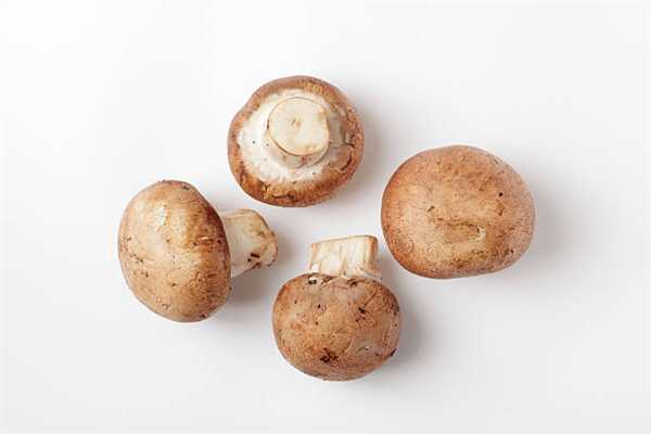 Mushroom Crimini 5lb