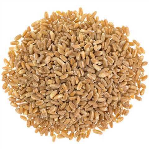 Farro Pearled 4/3lb