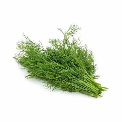 Fresh Dill Case