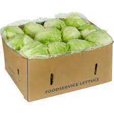 Lettuce Wrapped Iceberg 24CT