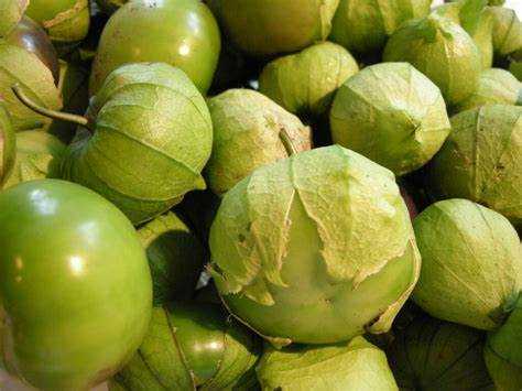 Fresh Tomatillo 1/10LB